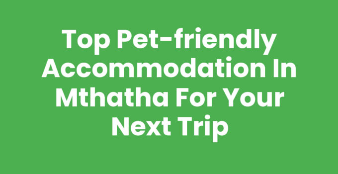 A cozy room in pet-friendly accommodation Mthatha with a dog.