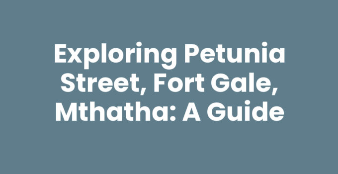 Petunia Street in Fort Gale, Mthatha, showcasing local shops and community vibe.