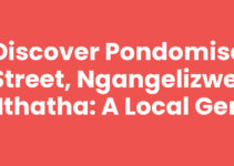 Discover Pondomise Street, Ngangelizwe, Mthatha: A Local Gem