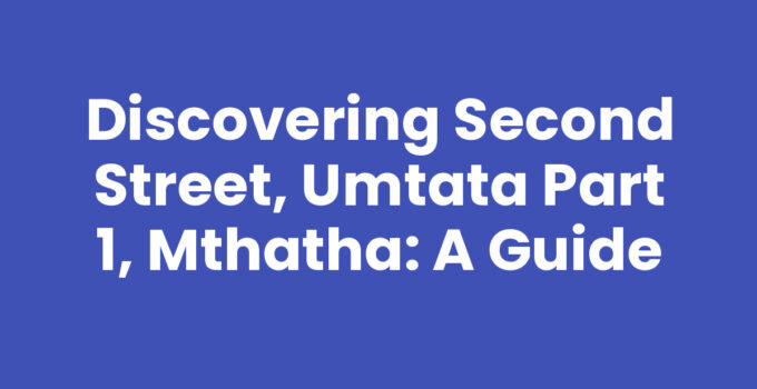 Second Street, Umtata Part 1, Mthatha - A vibrant street scene