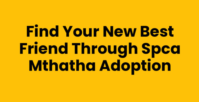 Spca Mthatha Adoption - A happy pet adoption from SPCA Mthatha.