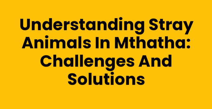 Stray Animals In Mthatha: Understanding the Challenges and Solutions