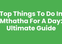 Top Things To Do In Mthatha For A Day: Ultimate Guide