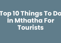 Top 10 Things To Do In Mthatha For Tourists