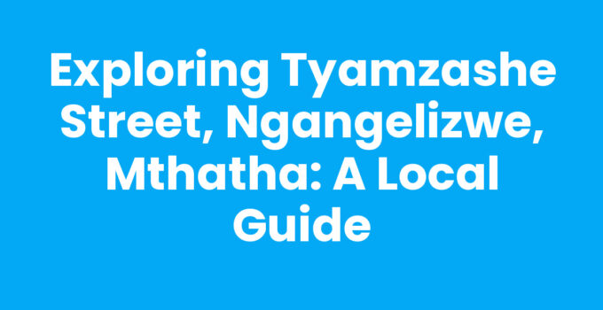 Tyamzashe Street, Ngangelizwe, Mthatha capturing local culture and community.