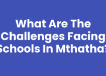What Are The Challenges Facing Schools In Mthatha?