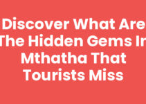 Discover What Are The Hidden Gems In Mthatha That Tourists Miss
