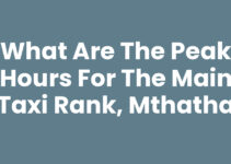 What Are The Peak Hours For The Main Taxi Rank, Mthatha