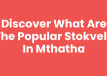 Discover What Are The Popular Stokvels In Mthatha Discover What Are The Popular Stokvels In Mthatha