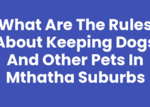 What Are The Rules About Keeping Dogs And Other Pets In Mthatha Suburbs