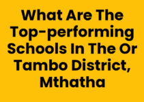 What Are The Top-performing Schools In The Or Tambo District, Mthatha
