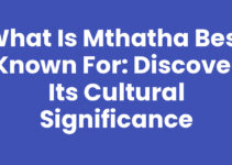 What Is Mthatha Best Known For: Discover Its Cultural Significance