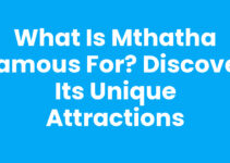 What Is Mthatha Famous For? Discover Its Unique Attractions