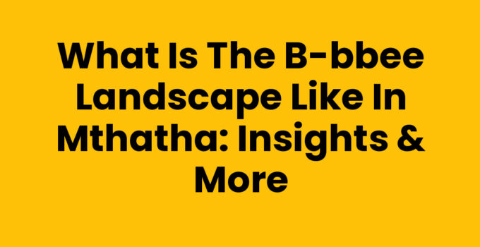 What Is The B-bbee Landscape Like In Mthatha