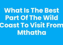 What Is The Best Part Of The Wild Coast To Visit From Mthatha