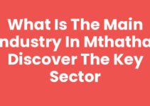 What Is The Main Industry In Mthatha: Discover the Key Sector