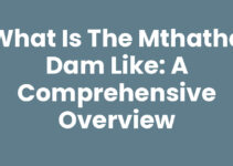 What Is The Mthatha Dam Like: A Comprehensive Overview