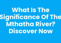 What Is The Significance Of The Mthatha River? Discover Now