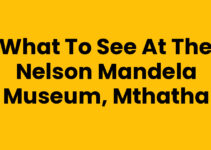 What To See At The Nelson Mandela Museum, Mthatha