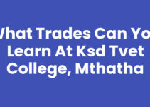 What Trades Can You Learn At Ksd Tvet College, Mthatha