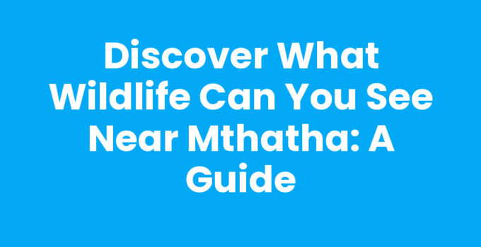 What Wildlife Can You See Near Mthatha - Diverse Wildlife in the Region