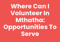Where Can I Volunteer In Mthatha: Opportunities to Serve
