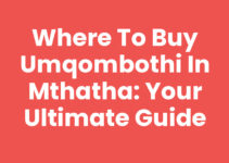 Where To Buy Umqombothi In Mthatha: Your Ultimate Guide