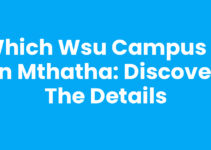 Which Wsu Campus Is In Mthatha: Discover the Details