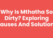 Why Is Mthatha So Dirty? Exploring Causes and Solutions