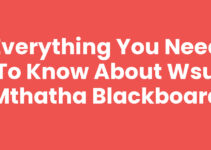 Everything You Need to Know About Wsu Mthatha Blackboard