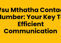 Wsu Mthatha Contact Number: Your Key to Efficient Communication
