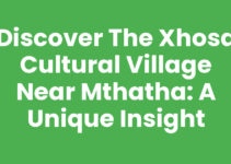 Discover the Xhosa Cultural Village Near Mthatha: A Unique Insight